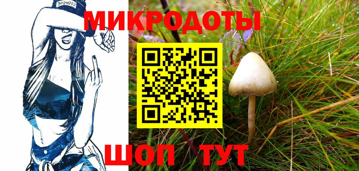 Псилоцибиновые грибы GOLDEN TEACHER  Вход с VPN  Галлюциногенные грибы мицелий  Рязань 